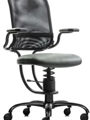 kancelařská židle SpinaliS ERGONOMIC šedá R711 Akční Cena