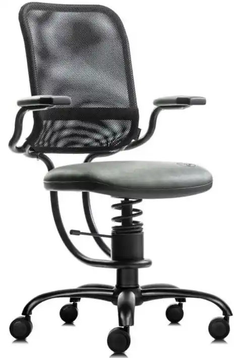 kancelařská židle SpinaliS ERGONOMIC šedá R711 Akční Cena