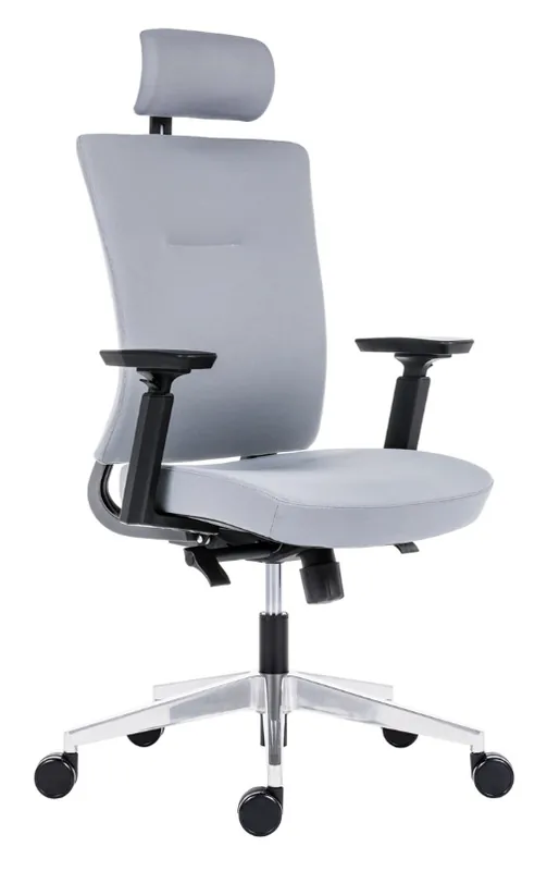 Kancelářská ergonomická židle Antares NEXT ALL UPH — šedá Antares Cenově Výhodný
