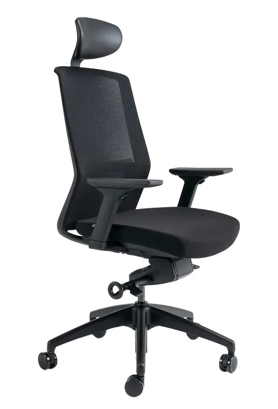 Kancelářská ergonomická židle BESTUHL J17 BLACK — více barev Rychlé Dodání