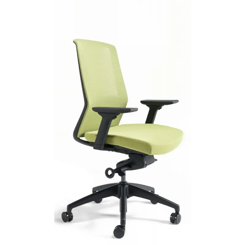Zlevněný Kancelářská ergonomická židle BESTUHL J17 BLACK — více barev - Barevné provedení J17 BLACK Zelená