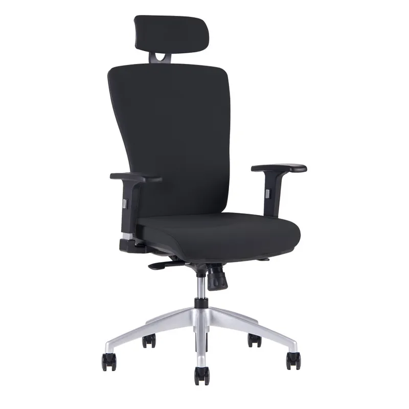 Kancelářská ergonomická židle HALIA SP – s podhlavníkem, více barev - Čalounění Halia Černá 2628 Značkový