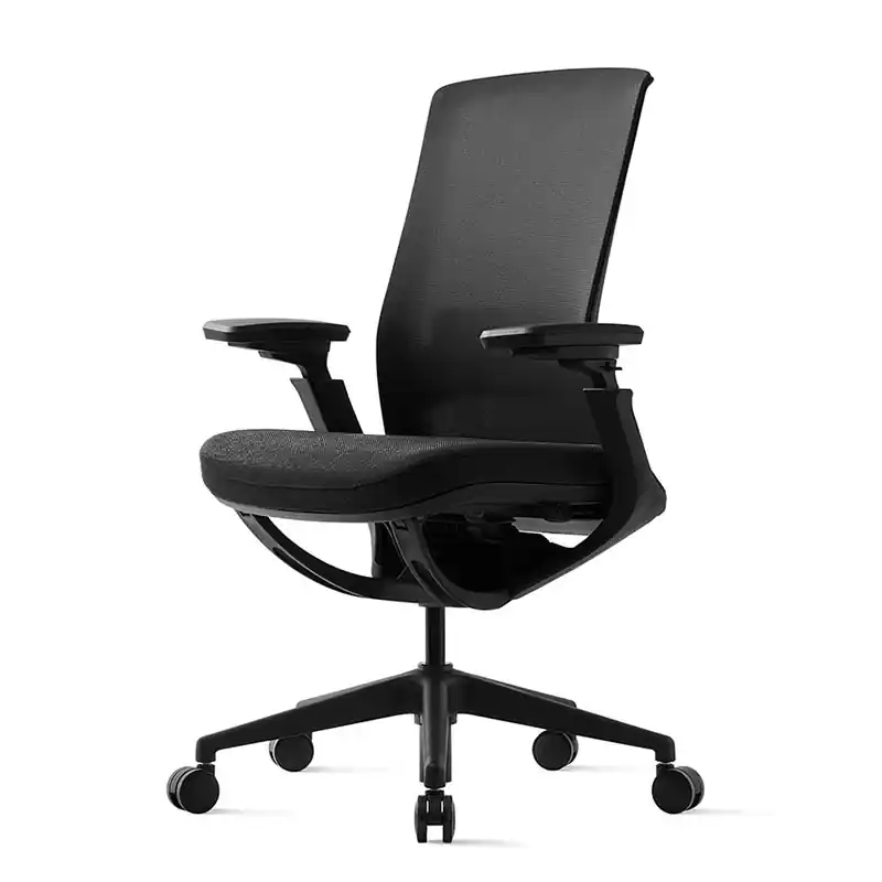 Kancelářská ergonomická židle ROLY BLACK - síťovina, více barev - Varianty židle ROLY Černá Expresní Doručení