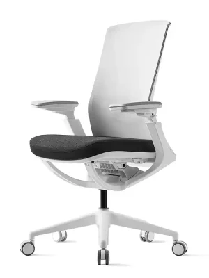 Zlevněný Kancelářská ergonomická židle ROLY WHITE - síťovina, více barev - Varianty židle ROLY Černá