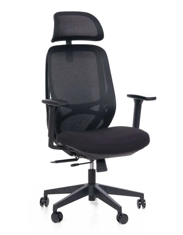 Kancelářská ergonomická židle Sego Adapta - síť, více barev - Barevné provedení Adapta černá Cenová Bomba
