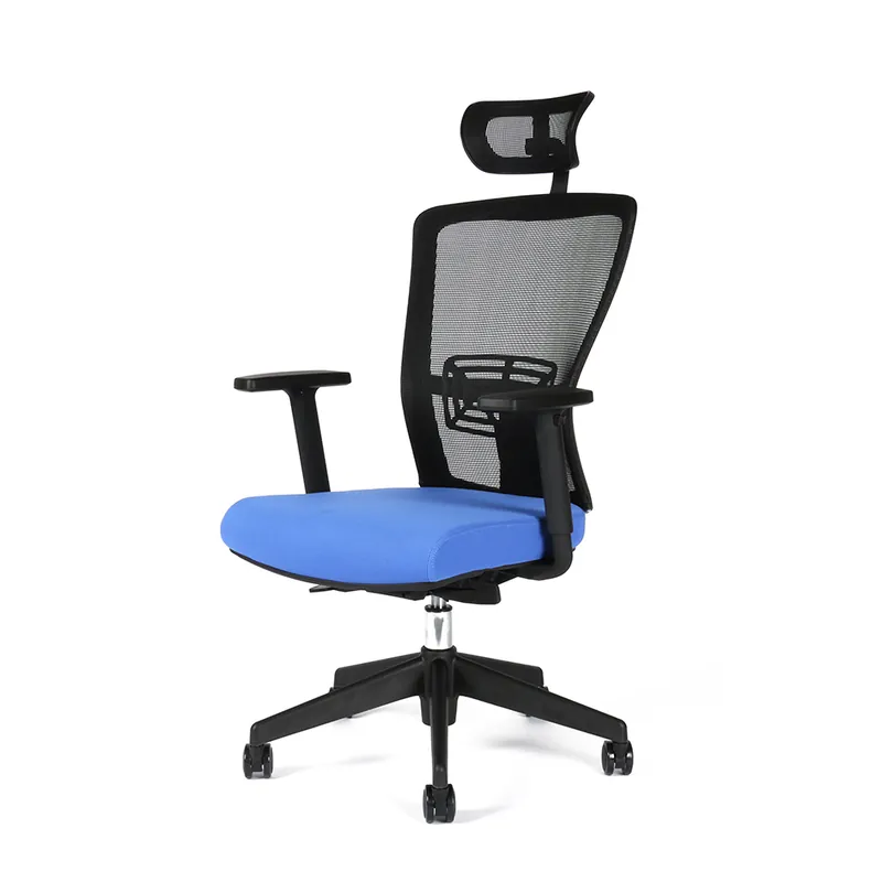 Pouze Dnes Kancelářská ergonomická židle Themis SP - s područkami i podhlavníkem, více barev