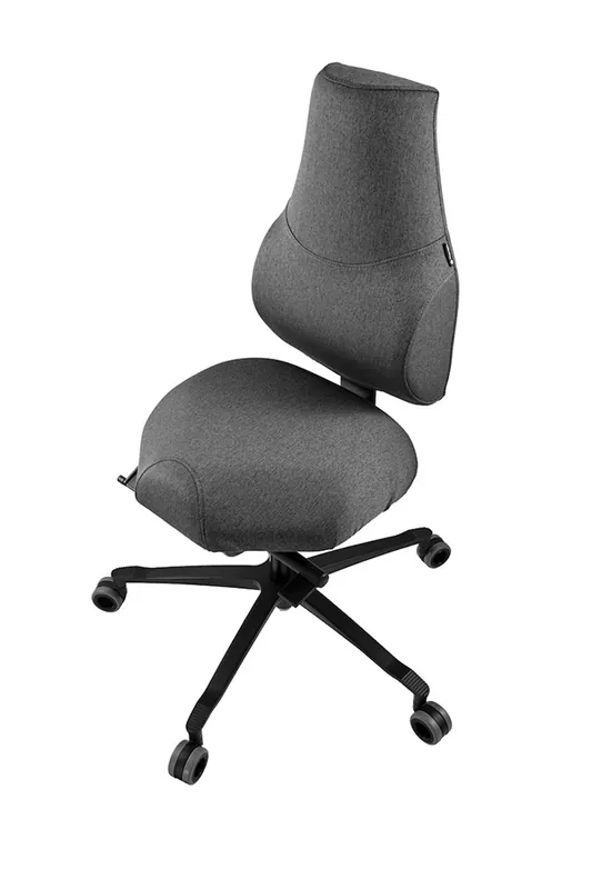 Omezená Nabídka Ochranný potah k židli THERAPIA STANDI — látka, více barev - Potah STANDI HX50 Black