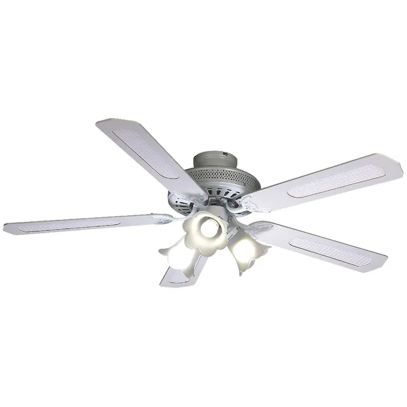 Cenový Hit Stropní ventilátor Costada, bílá