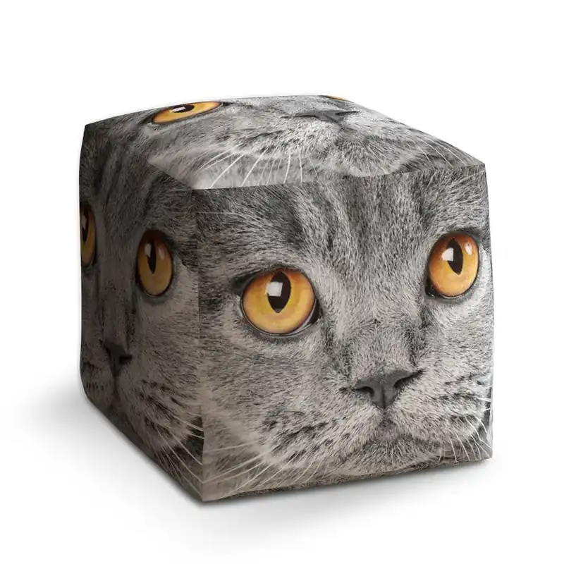 Taburet Cube kočičí pohled, šedá Kup Teď